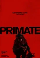 Примат